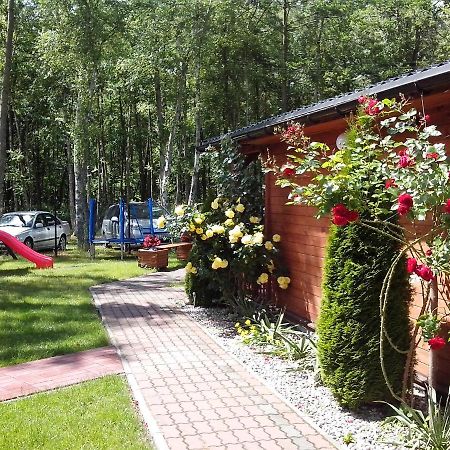 Rossa - Domki Letniskowe Międzywodzie Buitenkant foto